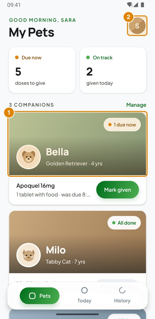 My Pets: Your pet is in My Pets