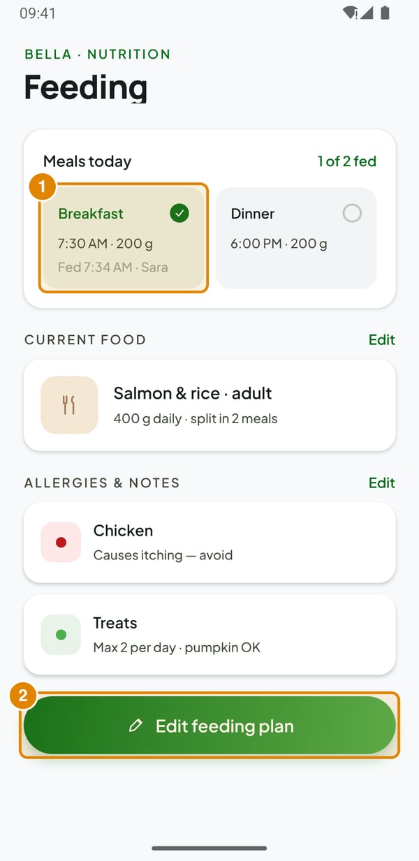 Feeding: Feeding plan